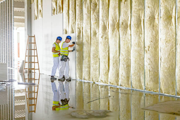Best Eco-Friendly Insulation in Mount Sinai, NY